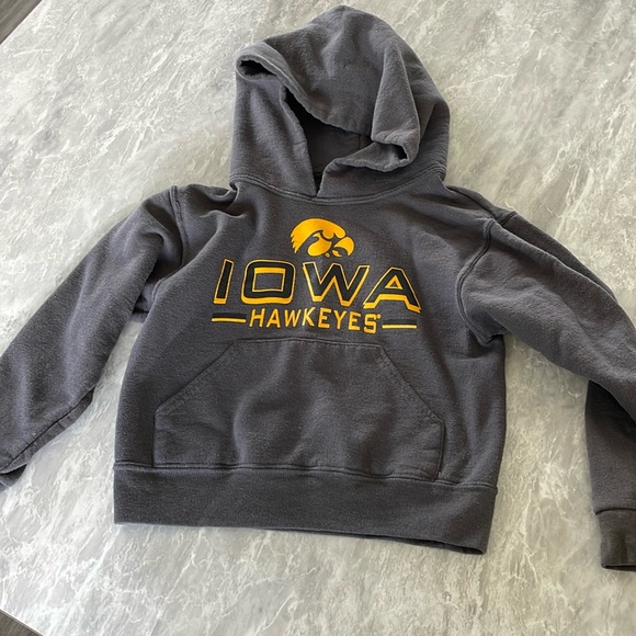 Iowa Hawkeye - Picture 1 of 1